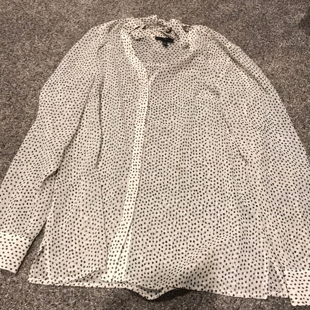 The limited blouse
